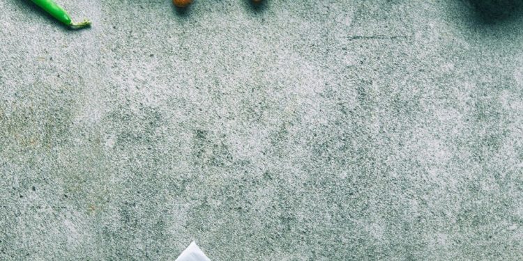 Dieta da selva: o que é, como funciona e como aplicar na sua rotina