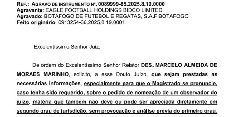 Desembargador responde com questionamentos ao juiz da primeira instância os pedidos realizados pelo clube social do Botafogo na última terça-feira — Foto: Reprodução