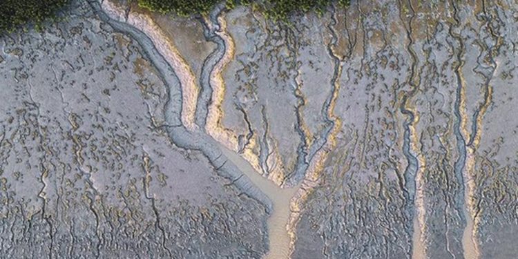 Projeções gigantes, fluidas e em constante transformação da lama na foz do Amazonas fotografadas por Luciano Candisani — Foto: Divulgação/Luciano Candisani