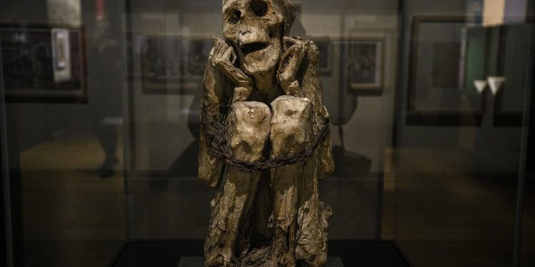 A múmia conhecida como 'Chachapoya Man', dos Andes peruanos, pode ser vista na exposição "Múmias", no Museu do Homem, em Paris — Foto: Julien de Rosa/AFP