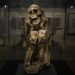 A múmia conhecida como 'Chachapoya Man', dos Andes peruanos, pode ser vista na exposição "Múmias", no Museu do Homem, em Paris — Foto: Julien de Rosa/AFP