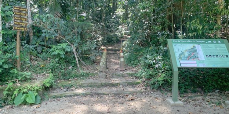 Homem de 60 anos morre ao cair de trilha no Parque Nacional da Tijuca — Foto: Reprodução