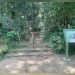 Homem de 60 anos morre ao cair de trilha no Parque Nacional da Tijuca — Foto: Reprodução