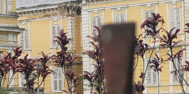 Telhado da Casa da Guarda, atual sede do Iphan de Petrópolis, coberto por uma londa — Foto: Foto do leitor