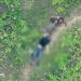 Imagens de drone mostram policial segundos antes de ser morto por criminosos em megaoperação do Rio — Foto: Reprodução / Fantástico