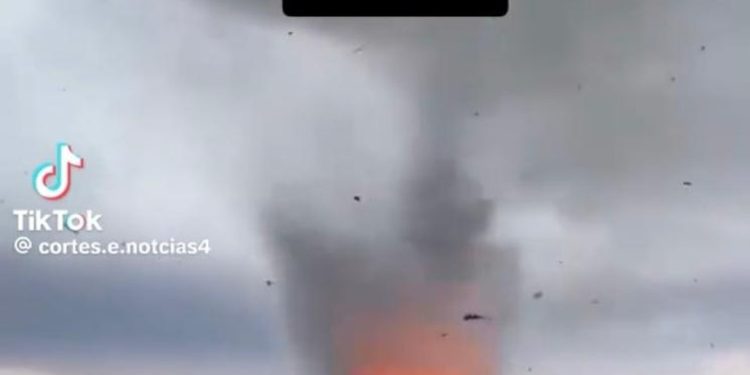 Vídeo publicado no TikTok associa início da COP30 aos tornados registrados no Paraná nesta semana — Foto: Reprodução/TikTok