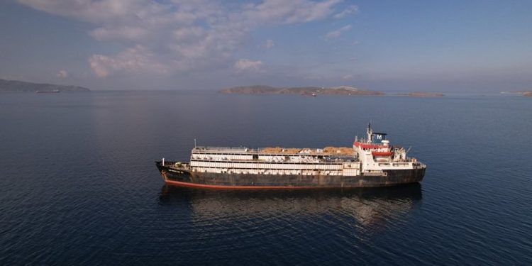 O Spiridon II saiu de Montevidéu, no Uruguai, em 19 de setembro e chegou ao porto turco de Bandirma em 22 de outubro — Foto: Divulgação / Animal Welfare Foundation