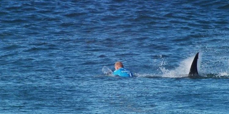 Mick Fanning foi atacado por tubarão em 2015 — Foto: Reprodução