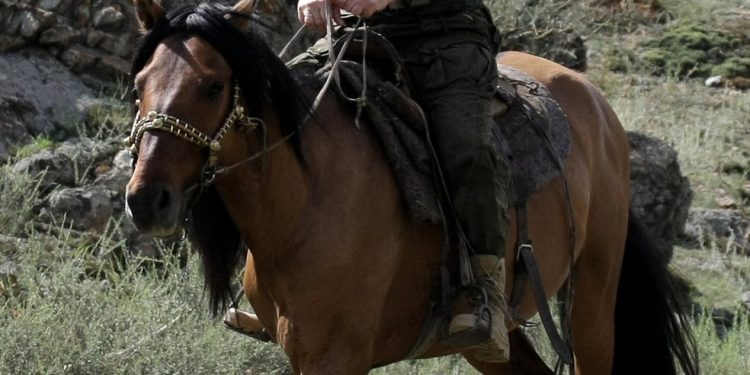 Em 2009, o então primeiro-ministro Putin cavalga em Kyzyl, na Sibéria — Foto: Alexsey Druginyn / AFP