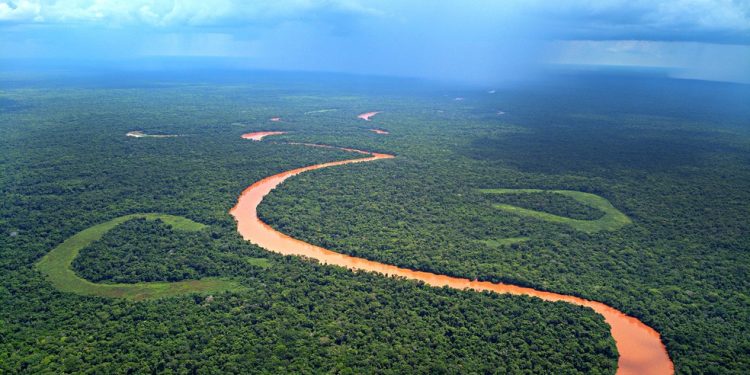RPPN Sesc Pantanal é a maior reserva particular do patrimônio natural do País, com 108 mil hectares — Foto: Sesc/Divulgação
