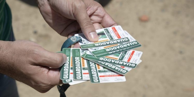 Operação Verão leva 27 flanelinhas às delegacias e multa mais de 400 motoristas em dia de praias cheias no Rio — Foto: Fabio Costa/SEOP