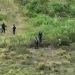 Drones filmam membros de facção escondidos em mata no Recôncavo Baiano