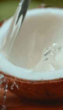 Pudim de frutas e água de coco é uma receita fácil e saudável para o Ano Novo; veja passo a passo