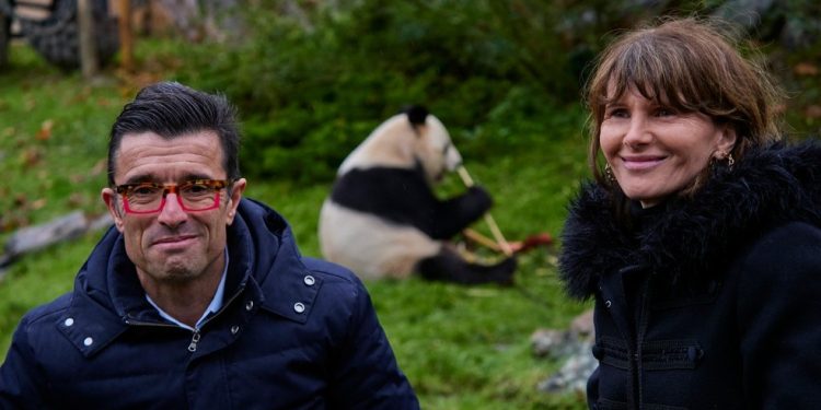 Diretores do Zoológico de Beauval — Foto: AFP