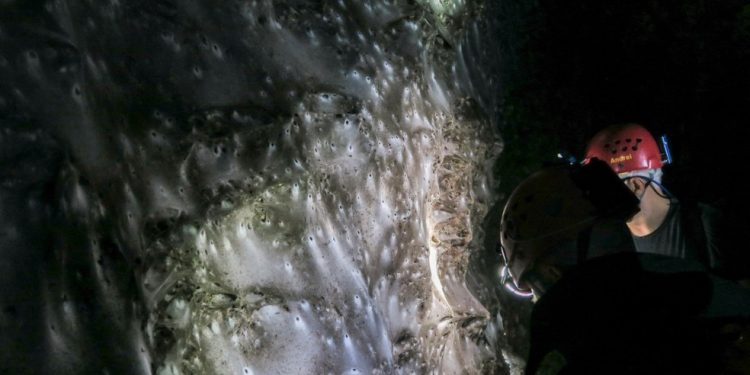 Teia gigante com mais de 100 m² e 111 mil aranhas é encontrada em caverna na fronteira da Grécia com a Albânia — Foto: AFP