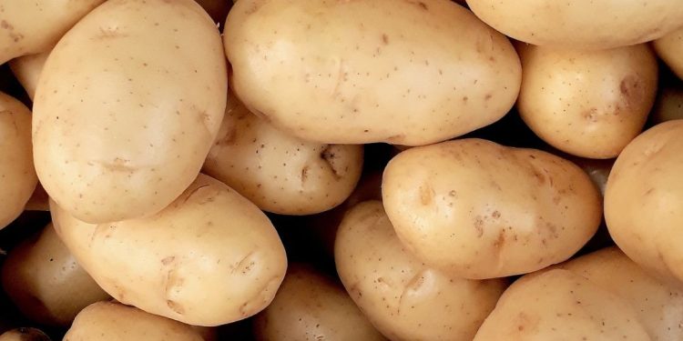 Vai fazer compra? Saiba quais alimentos tiveram queda de preço nos últimos cinco meses