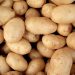 Vai fazer compra? Saiba quais alimentos tiveram queda de preço nos últimos cinco meses