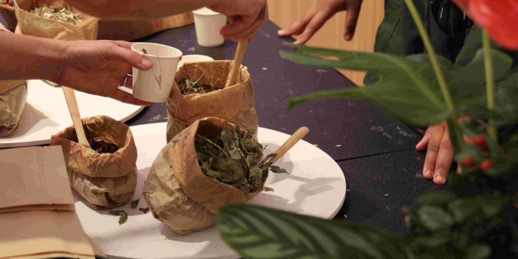 Jardim Botânico terá oficina de sachê para escalda-pés no Dia da Consciência Negra — Foto: Divulgação