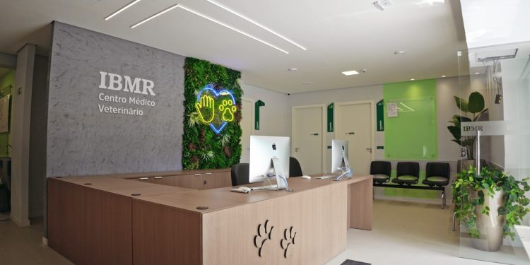 IBMR abre atendimento no Complexo Médico Veterinário no Catete para pequenos animais e pets ‘não convencionais’ — Foto: Thais Sodré/Divulgação IBMR