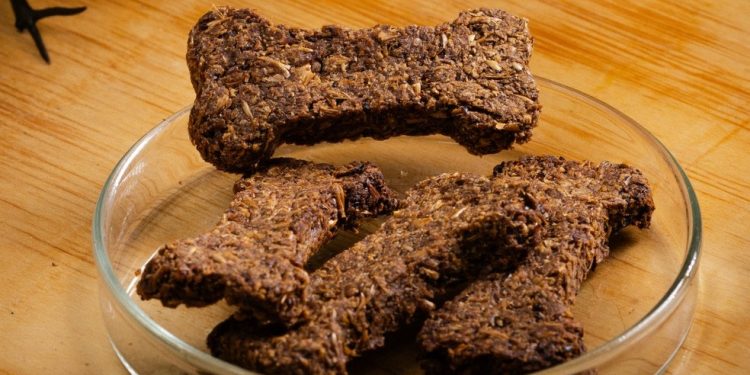 Suplemento alimentar para pets estará na pauta do Green Rio — Foto: Divulgação