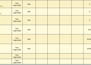 Carteira do fundo Máxima 2, em setembro de 2024, com mais de R$ 700 milhões em títulos da Everest, uma subsidiária da Ambipar — Foto: Reprodução/Plataforma da CVM