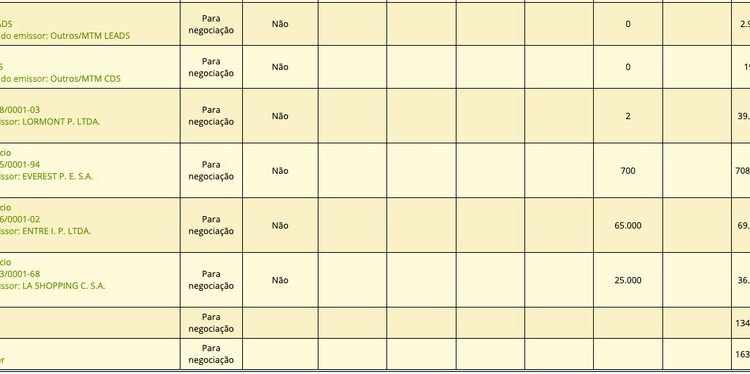 Carteira do fundo Máxima 2, em setembro de 2024, com mais de R$ 700 milhões em títulos da Everest, uma subsidiária da Ambipar — Foto: Reprodução/Plataforma da CVM