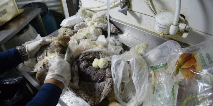 Cerca 430 kg de alimentos impróprios para consumo foram inutilizados — Foto: Divulgação/Seop