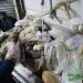 Cerca 430 kg de alimentos impróprios para consumo foram inutilizados — Foto: Divulgação/Seop