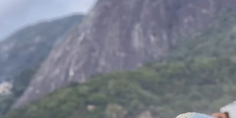 Caravelas portuguesas podem queimar os seres humanos mesmo aparentemente mortas na areia da praia — Foto: Reprodução/Instagram