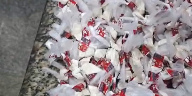 Foram apreendidos 2.500 sacolés de cocaína e 950 trouxinhas de maconha — Foto: Reprodução