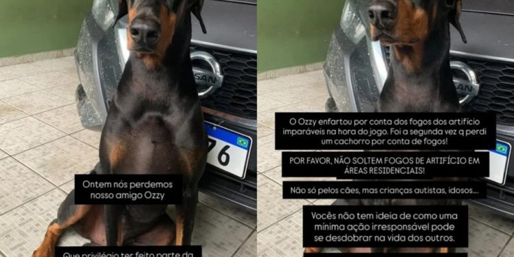Matheus Santaella revelou que seu pet morreu vítima de infarto por conta dos fogos — Foto: Reprodução Instagram