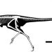 Representação gráfica do fóssil do dinossauro encontrado na Patagônia — Foto: Divulgação: NIH.gov
