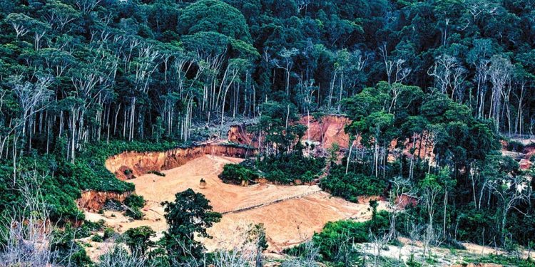 Um avião sobrevoa área de mineração ilegal na terra indígena Yanomami em Roraima — Foto: Victor Moriyama/The New York Times