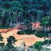 Um avião sobrevoa área de mineração ilegal na terra indígena Yanomami em Roraima — Foto: Victor Moriyama/The New York Times