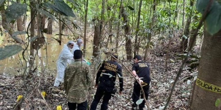Policiais federais isolam a área onde foram achados os pertences de Bruno Pereira, indigenista desaparecido no Vale do Javari — Foto: PF