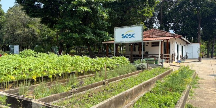 O destino das toneladas de restos de comida descartadas na Sapucaí