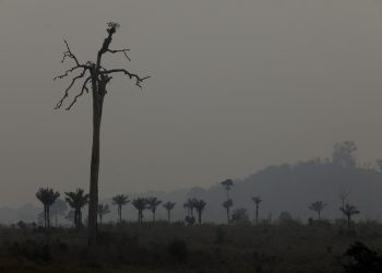 Queimada próxima à Transgarimpeira, no Pará: paisagem agonizante do planeta é tema de Vaclav Smil — Foto: Cristiano Mariz