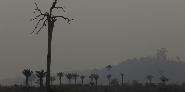 Queimada próxima à Transgarimpeira, no Pará: paisagem agonizante do planeta é tema de Vaclav Smil — Foto: Cristiano Mariz