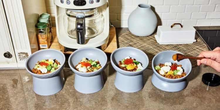 Sam Cheow prepara uma refeição para seus quatro terriers Norwich, que inclui ração seca, ovos cozidos, floretes de brócolis, ovas de salmão e mel de manuka, em sua casa em Nova York, — Foto: Amy Lombard/The New York Times