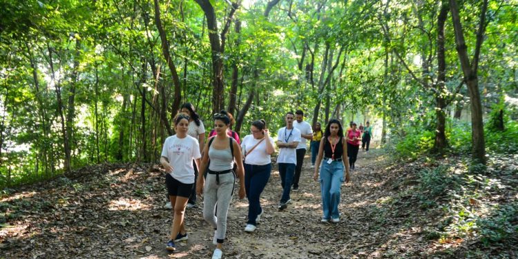 Grupo percorre trilha ecológica da Fazendinha durante roteiro de educação ambiental — Foto: Divulgação/Sesc RJ