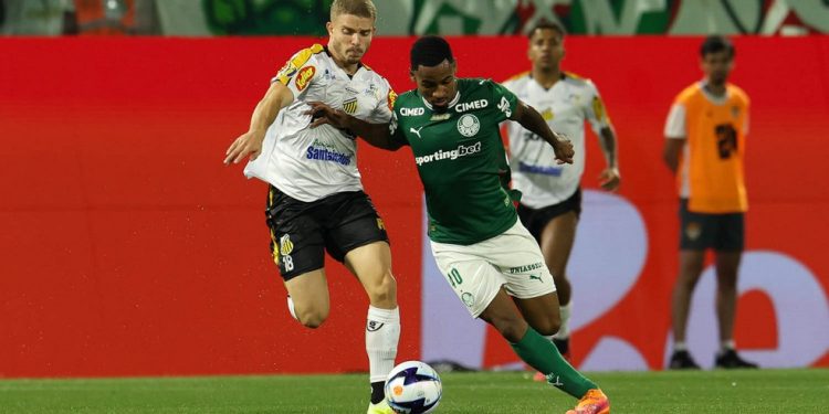 Novorizontino e Palmeiras voltam a se enfrentar — Foto: Cesar Greco/Palmeiras