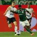 Novorizontino e Palmeiras voltam a se enfrentar — Foto: Cesar Greco/Palmeiras