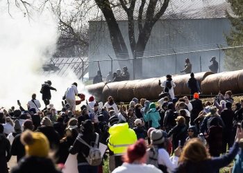Ativistas tentam resgatar cachorros nos Estados Unidos — Foto: Taylor Glascock for The New York Times