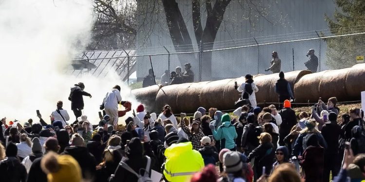 Ativistas tentam resgatar cachorros nos Estados Unidos — Foto: Taylor Glascock for The New York Times