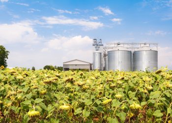 Programa BNDES RenovaBio investe em plantas de biocombustíveis em SP e MT — Foto: Divulgação/Agência BNDES