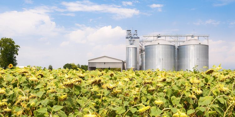 Programa BNDES RenovaBio investe em plantas de biocombustíveis em SP e MT — Foto: Divulgação/Agência BNDES