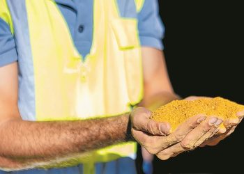 Milho usado para fazer etanol em usina do grupo São Martinho — Foto: Divulgação/Unem