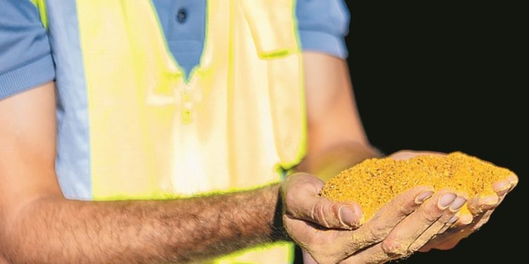 Milho usado para fazer etanol em usina do grupo São Martinho — Foto: Divulgação/Unem