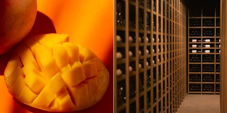 Experimento científico encontra a temperatura exata para manter as mangas maduras frescas por muito mais tempo (spoiler: é a da adega)