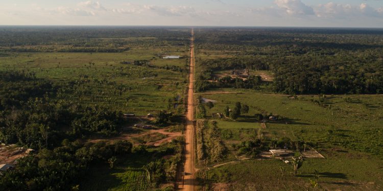 Justiça suspende pregões para pavimentação da BR-319, que corta a Amazônia: 'obra de expressivo impacto ambiental'